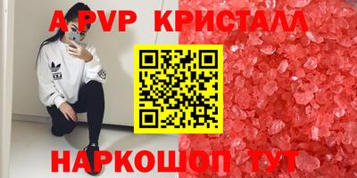 молекула духа Жуковский